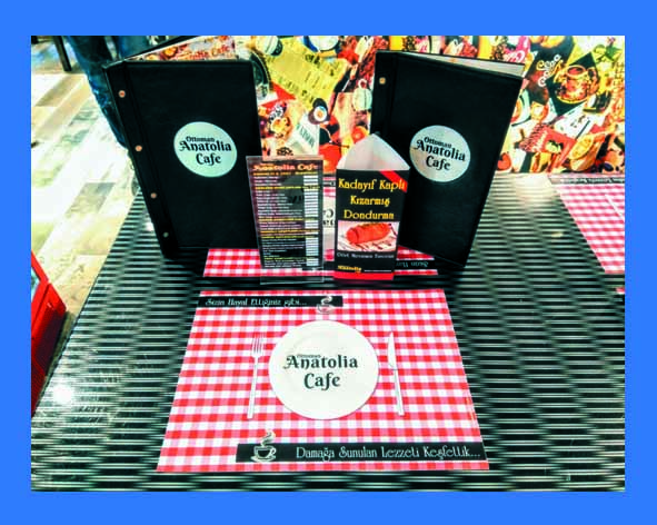 Kurumsal Kimlik: Logo-Men&uuml;-Amerikan Servis ve diğerleri